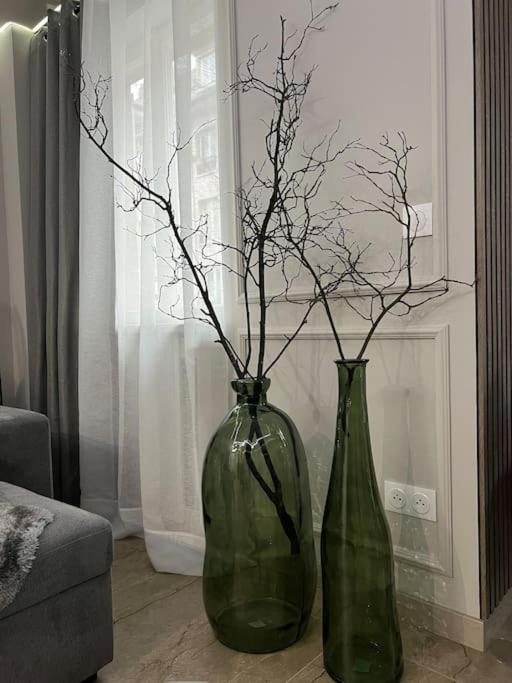 Luxueux Appartement Pres De La Cathedrale ストラスブール エクステリア 写真